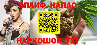 гашик Бузулук