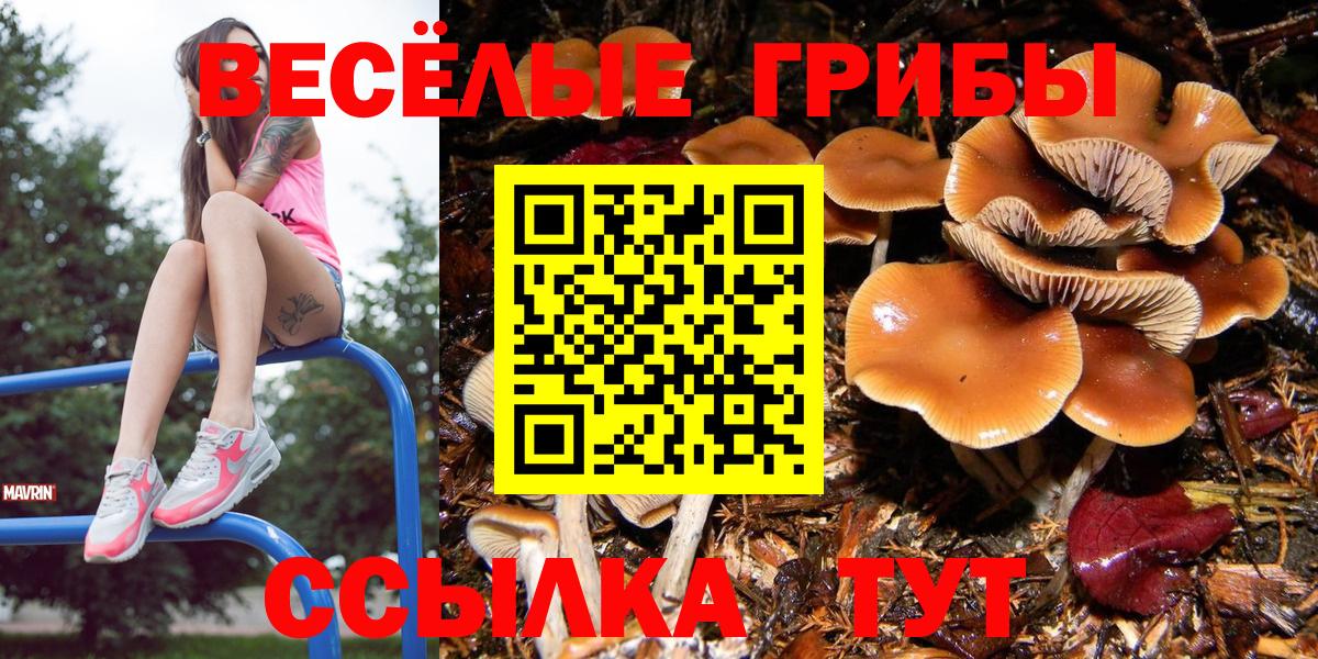 Псилоцибиновые грибы мухоморы Отрадный