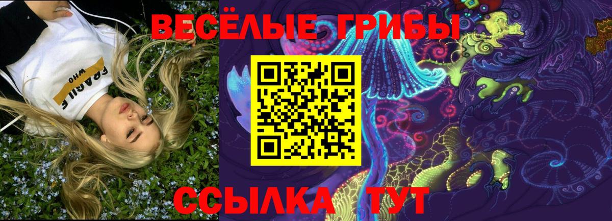 хочу наркоту  Псилоцибиновые грибы Magic Shrooms  Отрадный  Вход с VPN  Псилоцибиновые грибы ЛСД 